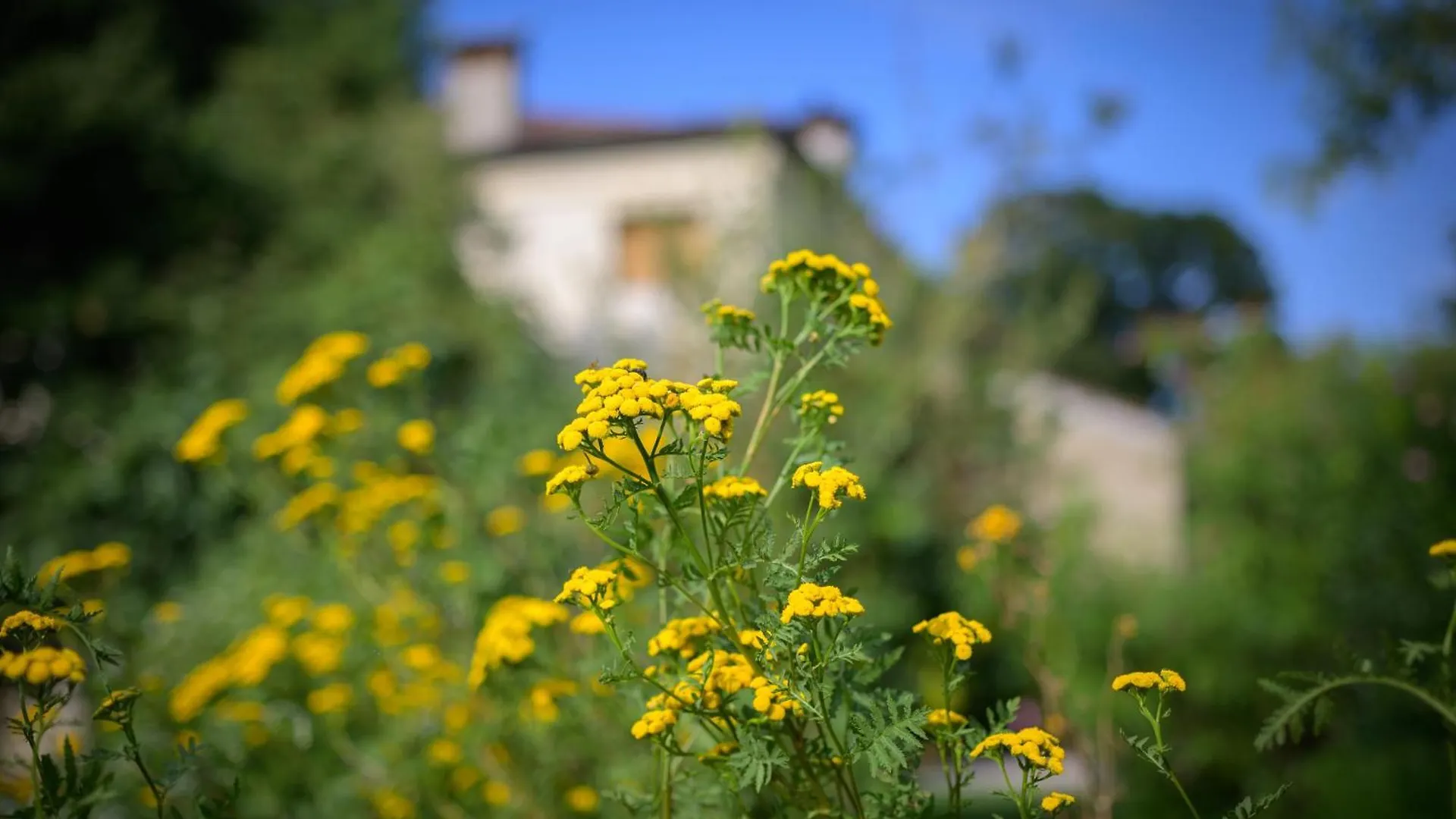 Palazzetto Ardi Bed & Breakfast Torri di Confine 0*,  Italy